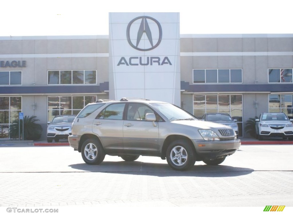 2001 RX 300 - Burnished Gold Metallic / Ivory photo #1