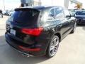 Panther Black Crystal - SQ5 Premium Plus 3.0 TFSI quattro Photo No. 7