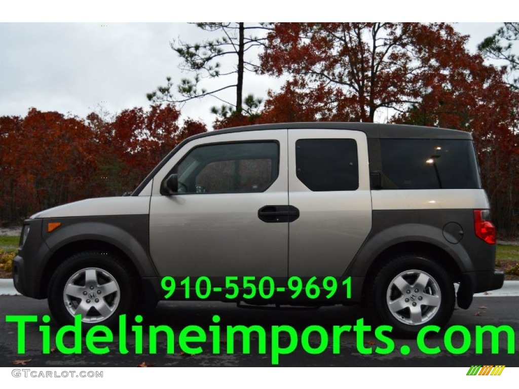 2004 Element EX AWD - Shoreline Mist Metallic / Black photo #1