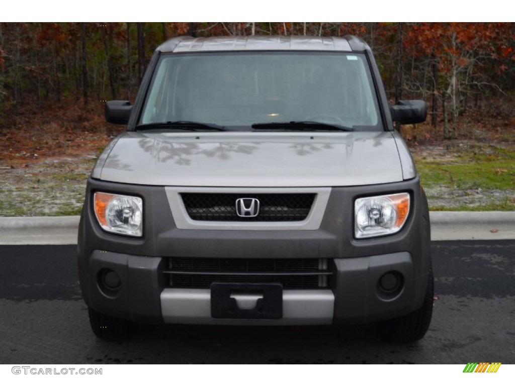 2004 Element EX AWD - Shoreline Mist Metallic / Black photo #2