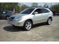 Millenium Silver Metallic - RX 330 Photo No. 1