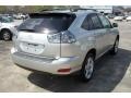 Millenium Silver Metallic - RX 330 Photo No. 5