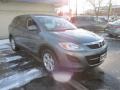 2012 Dolphin Gray Mica Mazda CX-9 Touring AWD  photo #8