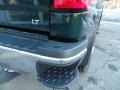 Rainforest Green Metallic - Silverado 2500HD LT Double Cab 4x4 Photo No. 11