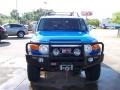 2007 Voodoo Blue Toyota FJ Cruiser 4WD  photo #7