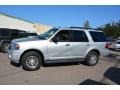 2014 Ingot Silver Ford Expedition XLT  photo #6