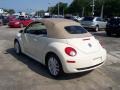 Harvest Moon Beige - New Beetle SE Convertible Photo No. 11