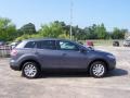 Galaxy Gray Mica - CX-9 Touring Photo No. 6