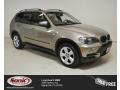 2007 Platinum Bronze Metallic BMW X5 3.0si  photo #1