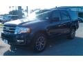 2015 Blue Jeans Metallic Ford Expedition XLT  photo #18