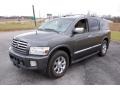 2004 Silver Graphite Metallic Infiniti QX 56 4WD #99505789