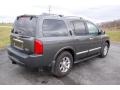 Silver Graphite Metallic - QX 56 4WD Photo No. 4