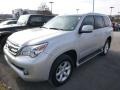 Tungsten Silver Pearl 2010 Lexus GX 460 Exterior
