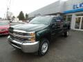 Rainforest Green Metallic - Silverado 2500HD WT Crew Cab 4x4 Photo No. 3