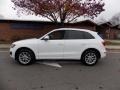 2009 Ibis White Audi Q5 3.2 Premium quattro  photo #2