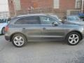 Daytona Gray Pearl Effect - Q5 3.2 FSI quattro Photo No. 2