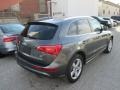 Daytona Gray Pearl Effect - Q5 3.2 FSI quattro Photo No. 3