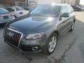 Daytona Gray Pearl Effect - Q5 3.2 FSI quattro Photo No. 7