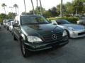 2001 Cypress Green Metallic Mercedes-Benz ML 430 4Matic  photo #2