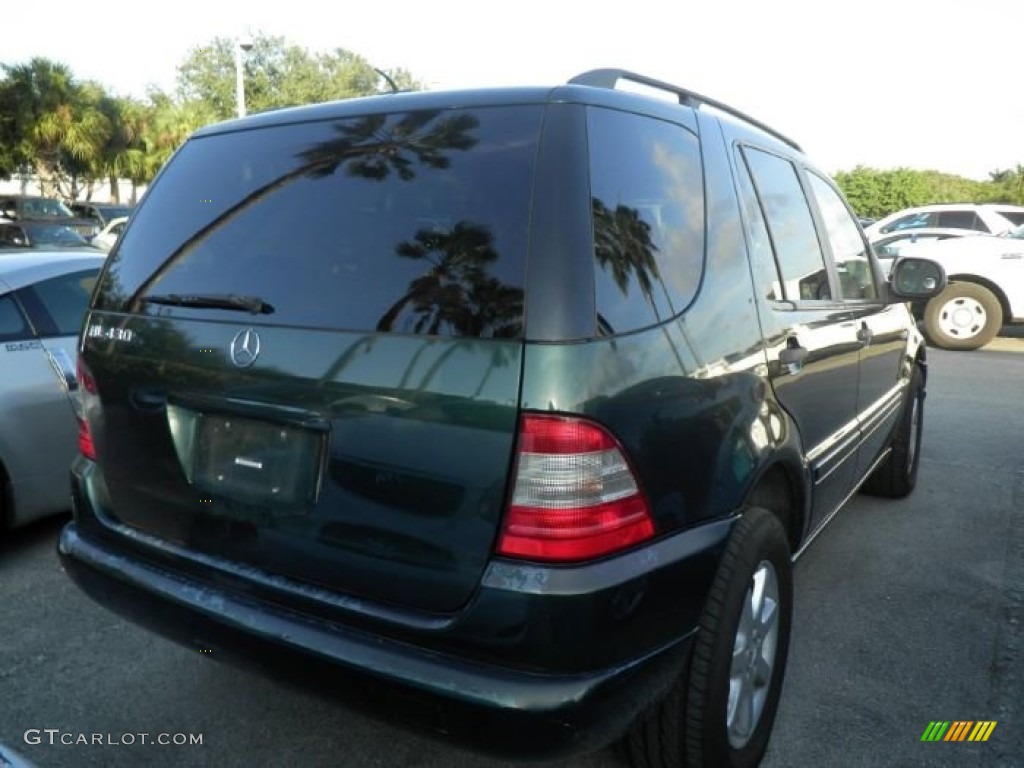 2001 ML 430 4Matic - Cypress Green Metallic / Java photo #4