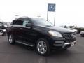 Black - ML 250 BlueTEC 4Matic Photo No. 3