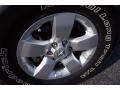 Cayenne Red - Frontier SV V6 Crew Cab Photo No. 19