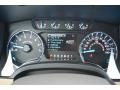 Pale Adobe Gauges Photo for 2014 Ford F150 #99578410