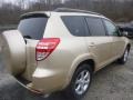 Sandy Beach Metallic - RAV4 Limited V6 4WD Photo No. 3