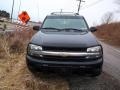 Black - TrailBlazer LS 4x4 Photo No. 2