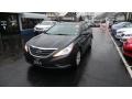 Pacific Blue Pearl - Sonata GLS Photo No. 3