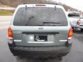 2007 Titanium Green Metallic Ford Escape XLT 4WD  photo #4