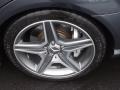 2010 Mercedes-Benz C 63 AMG Wheel and Tire Photo