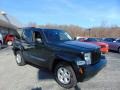 Natural Green Pearl 2010 Jeep Liberty Sport 4x4