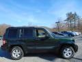 2010 Natural Green Pearl Jeep Liberty Sport 4x4  photo #2