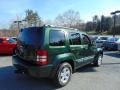 2010 Natural Green Pearl Jeep Liberty Sport 4x4  photo #3