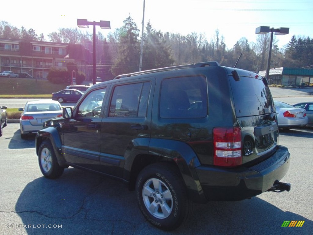 2010 Liberty Sport 4x4 - Natural Green Pearl / Pastel Pebble Beige photo #5