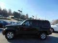 2010 Natural Green Pearl Jeep Liberty Sport 4x4  photo #6