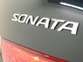 Ebony Black - Sonata LX V6 Photo No. 39