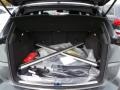 Black Trunk Photo for 2015 Audi Q5 #99700973