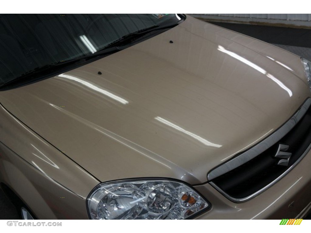 2007 Forenza Sedan - Champagne Beige Metallic / Grey photo #38