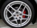 2009 Porsche 911 Carrera S Coupe Wheel and Tire Photo