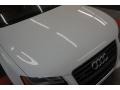 2010 Ibis White Audi A5 2.0T quattro Coupe  photo #40
