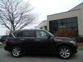 Dark Currant - QX 56 4WD Photo No. 2