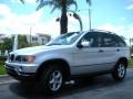 Titanium Silver Metallic - X5 3.0i Photo No. 2