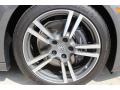 2014 Porsche Panamera Standard Panamera Model Wheel and Tire Photo