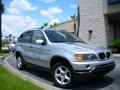 Titanium Silver Metallic - X5 3.0i Photo No. 4