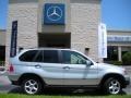 Titanium Silver Metallic - X5 3.0i Photo No. 5