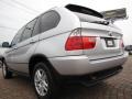 Titanium Silver Metallic - X5 3.0i Photo No. 3