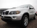 2004 Titanium Silver Metallic BMW X5 3.0i  photo #9