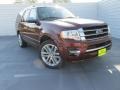 Bronze Fire Metallic - Expedition King Ranch Photo No. 2